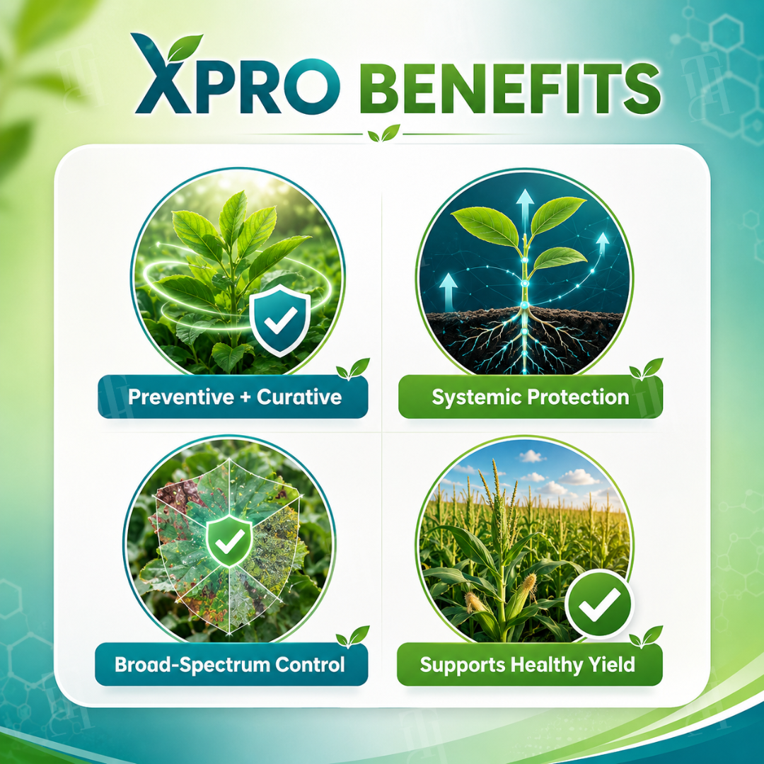 RZXEA™  Xpro Prothioconazole Systemic Fungicide