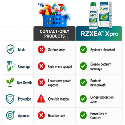 RZXEA™  Xpro Prothioconazole Systemic Fungicide