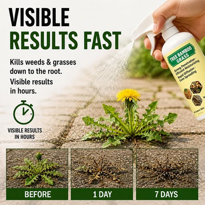 ⭐2026 SALE - Fast-Acting Natural Weed & Grass Killer Spray
