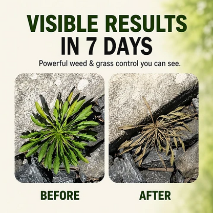⭐2026 SALE - Fast-Acting Natural Weed & Grass Killer Spray