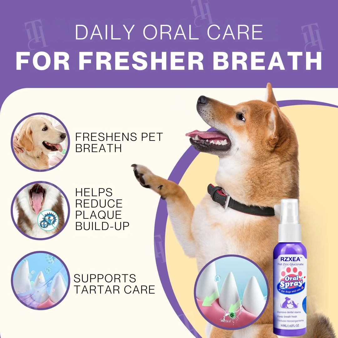 🌟 Official Store | RZXEA™ Pet Zinc-Gluconate Oral Spray