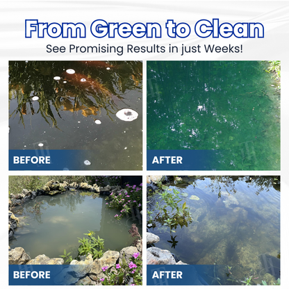 AEXZR® Aqua-Guardian Pro Formula 🧬 Clears Green Water in 24h | 100% Fish Safe (Bio-Formula)
