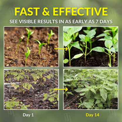 🌟 Official Store | AEXZR® 2 in 1 Vita-Enzyme Solution