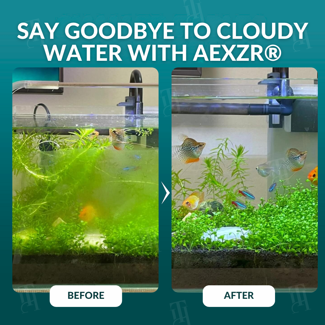 🌟 Official Store | AEXZR® Aquariums Aqua-Guardian Blend