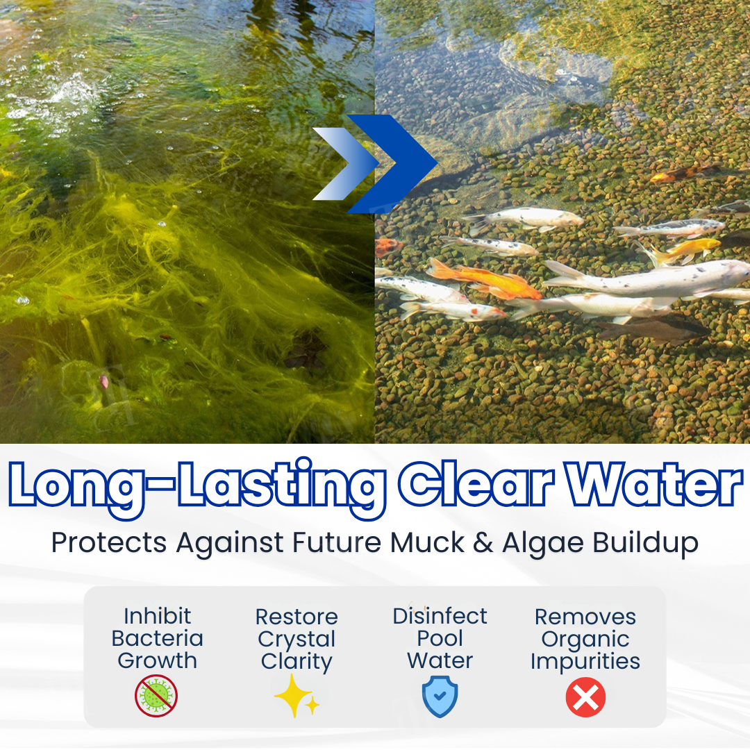 AEXZR® Aqua-Guardian Pro Formula 🧬 Clears Green Water in 24h | 100% Fish Safe (Bio-Formula)