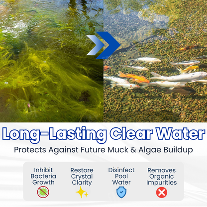 AEXZR® Aqua-Guardian Pro Formula 🧬 Clears Green Water in 24h | 100% Fish Safe (Bio-Formula)