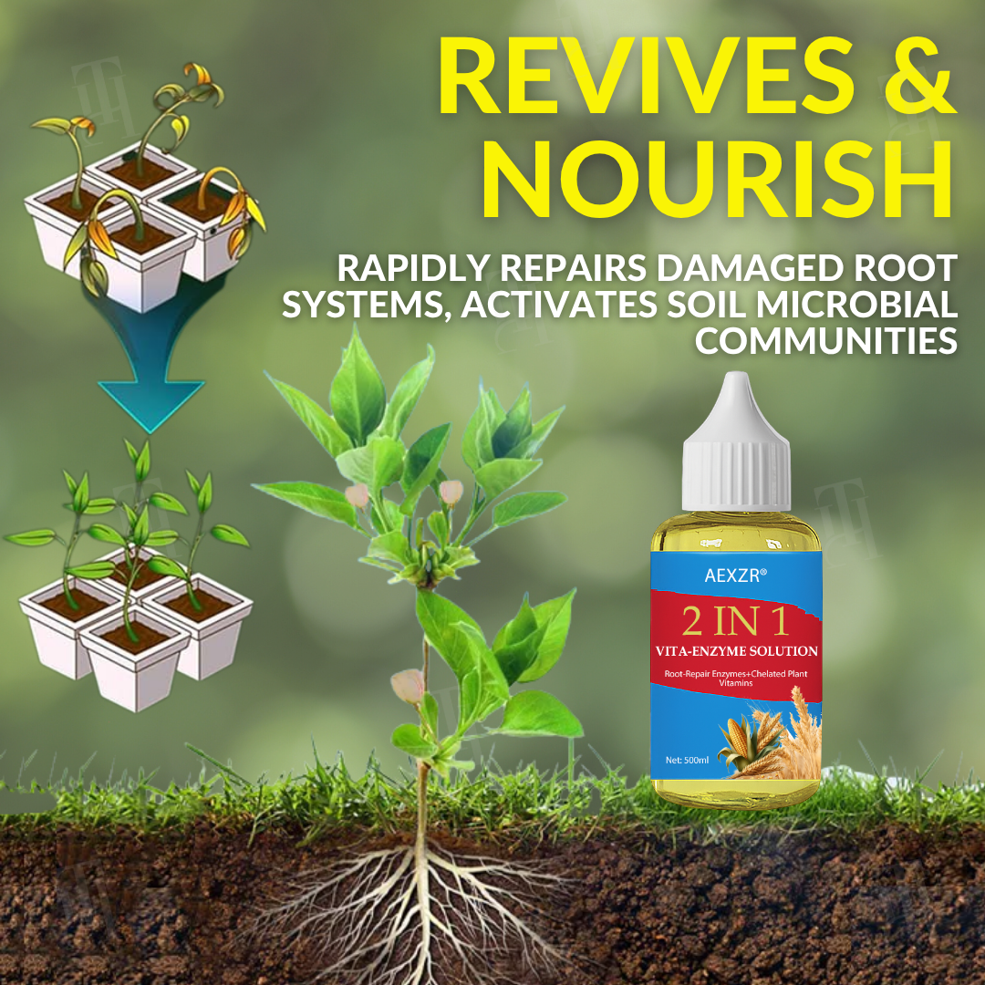 🌟 Official Store | AEXZR® 2 in 1 Vita-Enzyme Solution