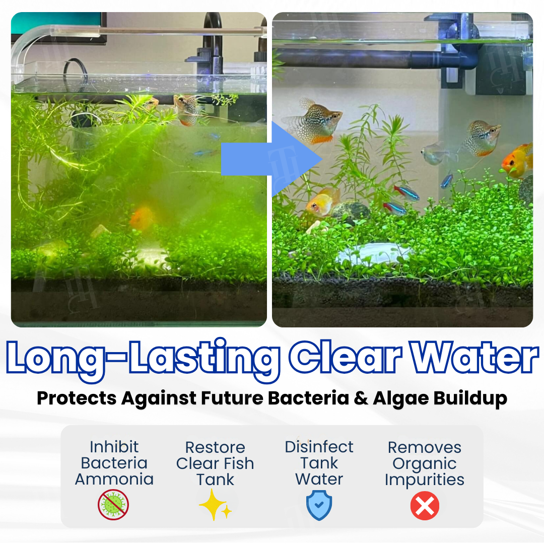 🌟 Official Store | AEXZR® Max-Power Aquarium Purification Tablet
