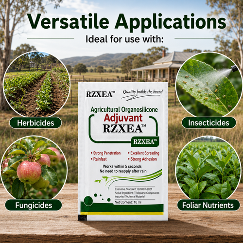RZXEA™ Organosilicone Additives