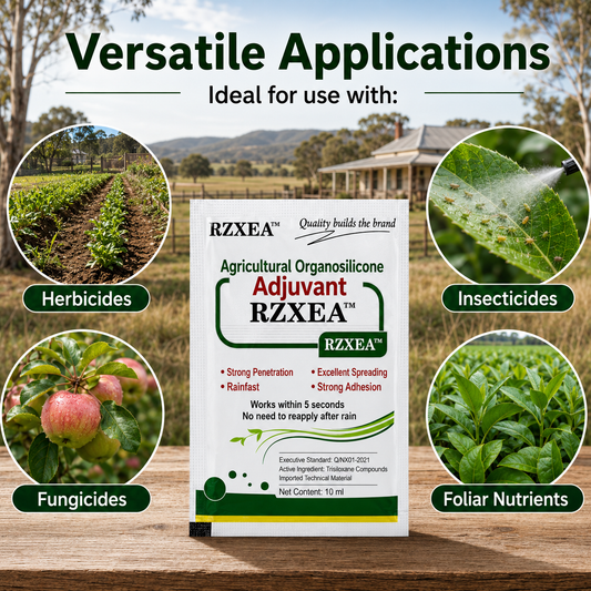 RZXEA™ Organosilicone Additives