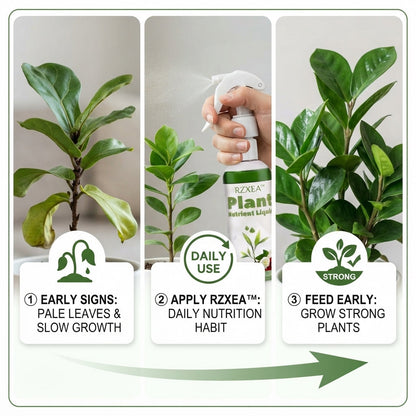 RZXEA™ Ready-to-Use Plant Nutrient Solution