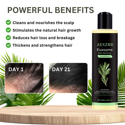 🌟 Official Store | AEXZR® Exosome Bio-Signal Revitalizing Shampoo